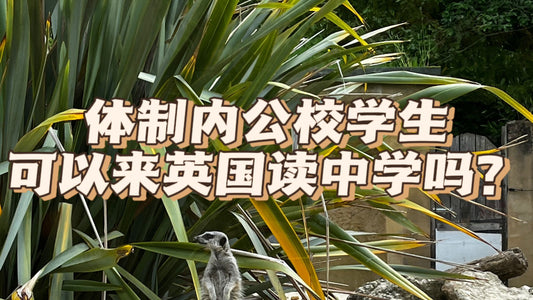 体制內公校学生可以来英国读中学吗？