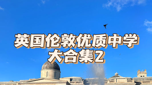 英国伦敦有哪些好的中学？