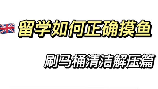 🇬🇧留学如何摸鱼之刷马桶清洁篇