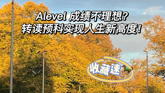 Alevel 成绩不理想？转读预科实现梦想