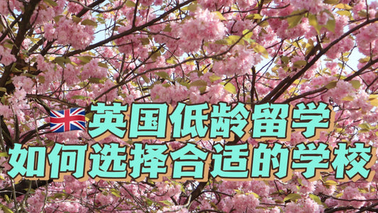 英国低龄留学，如何选择适合孩子的学校